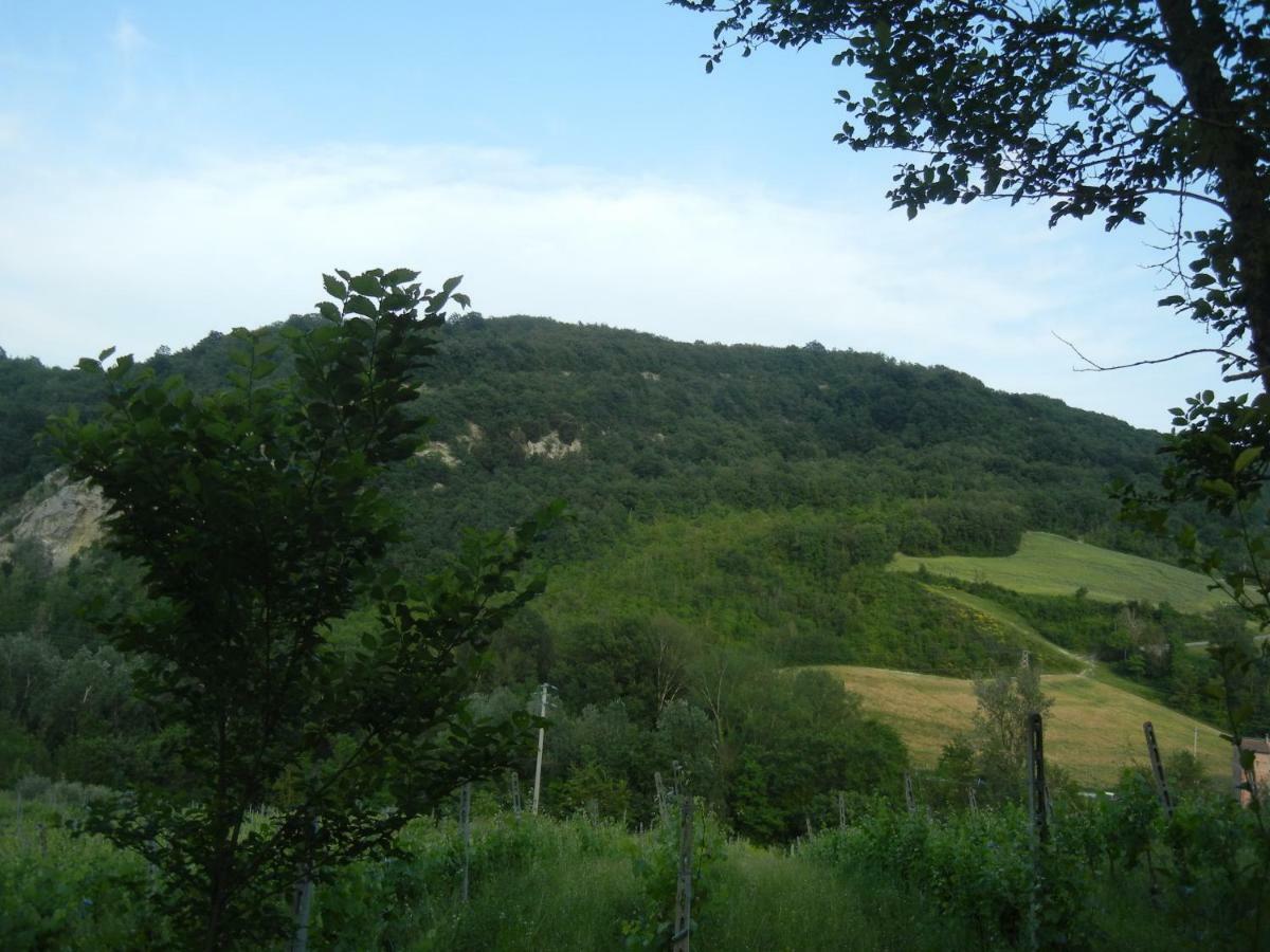 La Colombarola Agriturismo Farneto Extérieur photo