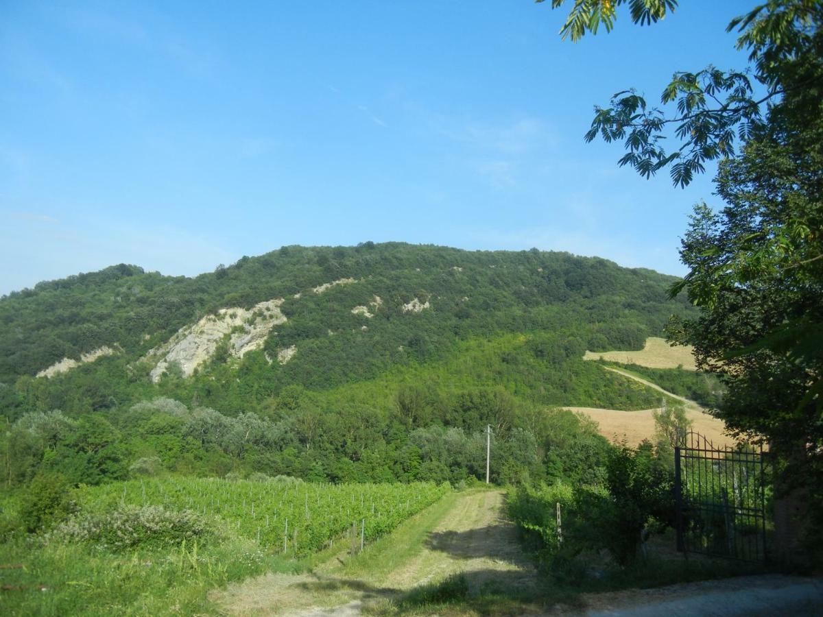 La Colombarola Agriturismo Farneto Extérieur photo